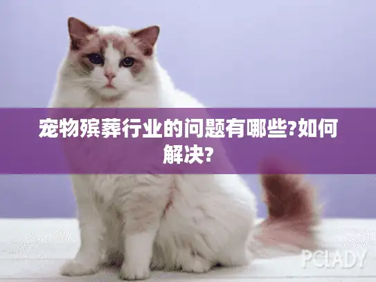 宠物殡葬行业的问题有哪些?如何解决?