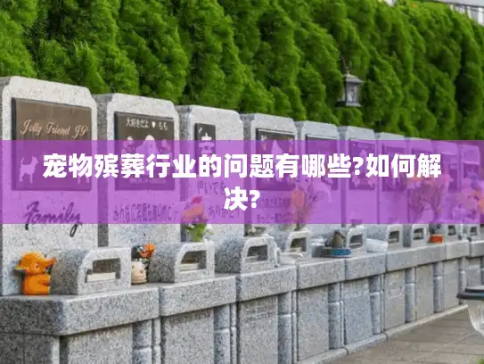 宠物殡葬行业的问题有哪些?如何解决?