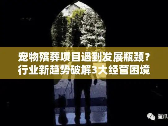 宠物殡葬项目遇到发展瓶颈？行业新趋势破解3大经营困境