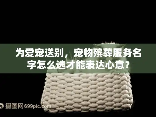 为爱宠送别，宠物殡葬服务名字怎么选才能表达心意？