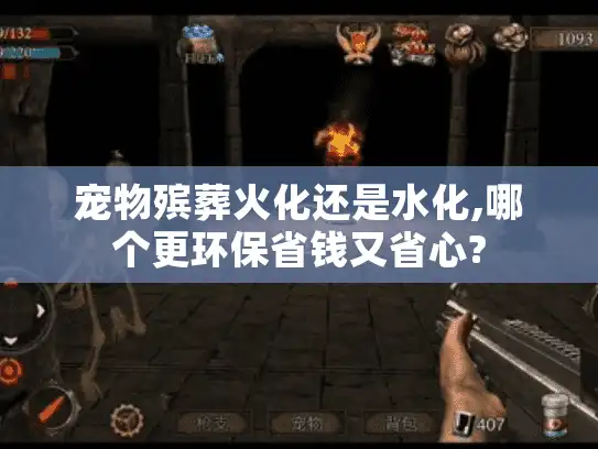 宠物殡葬火化还是水化,哪个更环保省钱又省心?