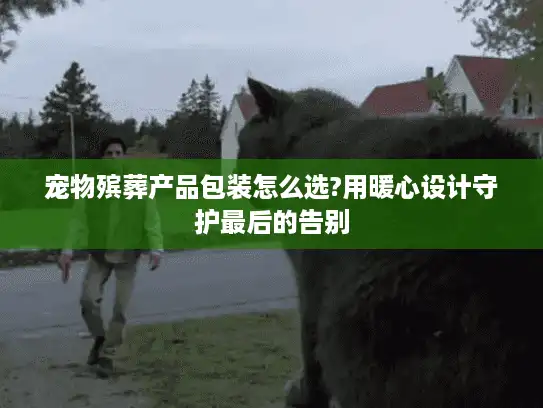 宠物殡葬产品包装怎么选?用暖心设计守护最后的告别