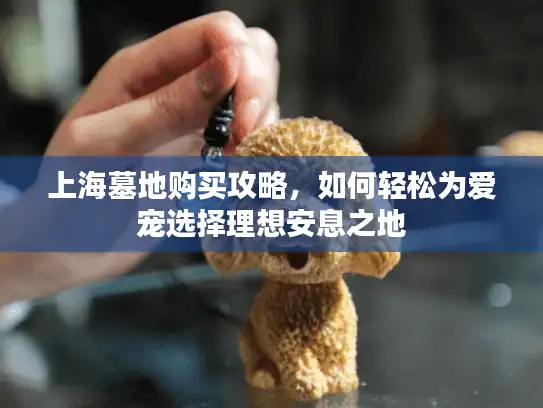上海墓地购买攻略，如何轻松为爱宠选择理想安息之地