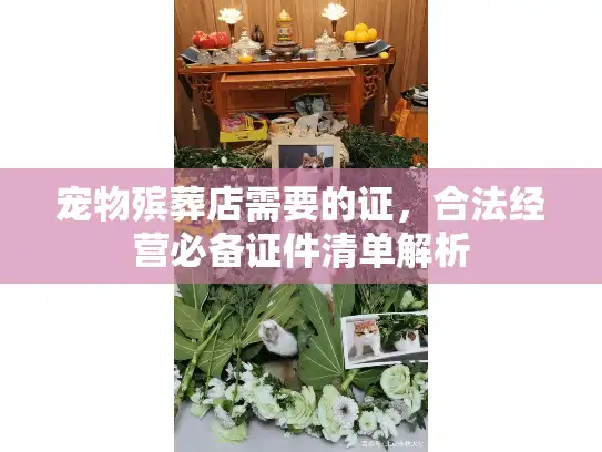 宠物殡葬店需要的证，合法经营必备证件清单解析