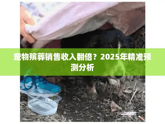 宠物殡葬销售收入翻倍？2025年精准预测分析