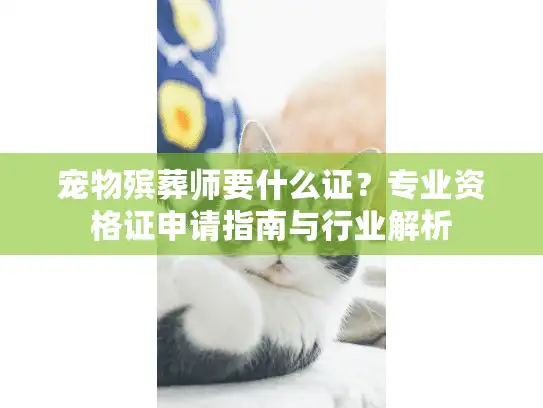 宠物殡葬师要什么证？专业资格证申请指南与行业解析