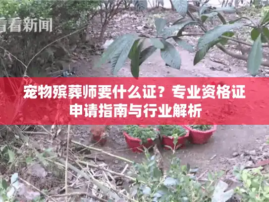 宠物殡葬师要什么证？专业资格证申请指南与行业解析