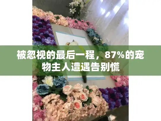被忽视的最后一程，87%的宠物主人遭遇告别慌
