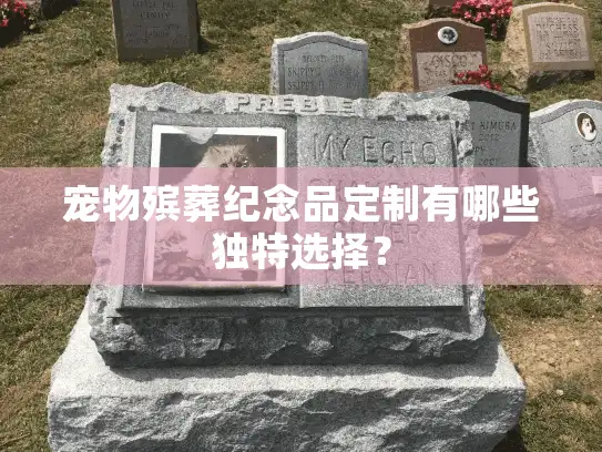 宠物殡葬纪念品定制有哪些独特选择？