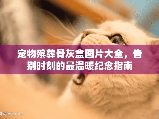 宠物殡葬骨灰盒图片大全，告别时刻的最温暖纪念指南