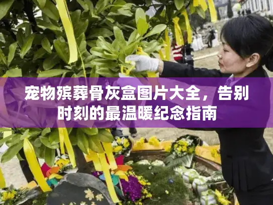 宠物殡葬骨灰盒图片大全，告别时刻的最温暖纪念指南