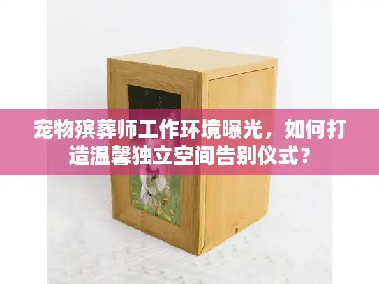 宠物殡葬师工作环境曝光，如何打造温馨独立空间告别仪式？