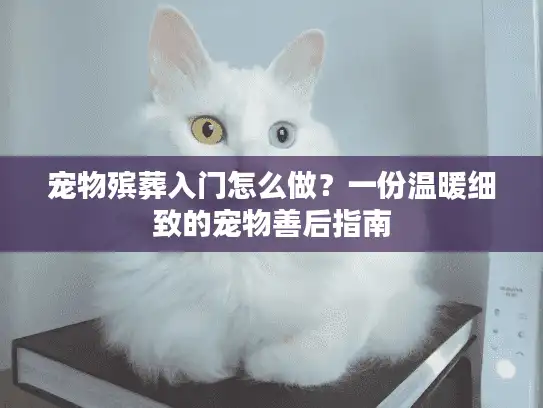 宠物殡葬入门怎么做？一份温暖细致的宠物善后指南