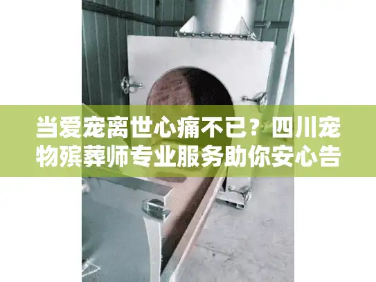当爱宠离世心痛不已？四川宠物殡葬师专业服务助你安心告别
