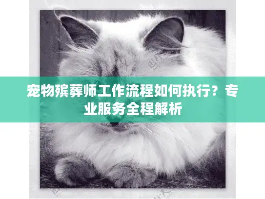 宠物殡葬师工作流程如何执行？专业服务全程解析