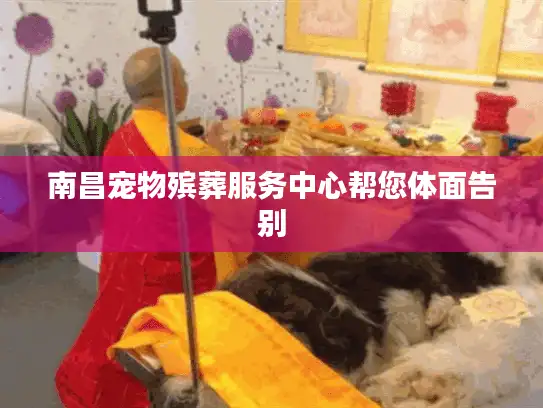南昌宠物殡葬服务中心帮您体面告别