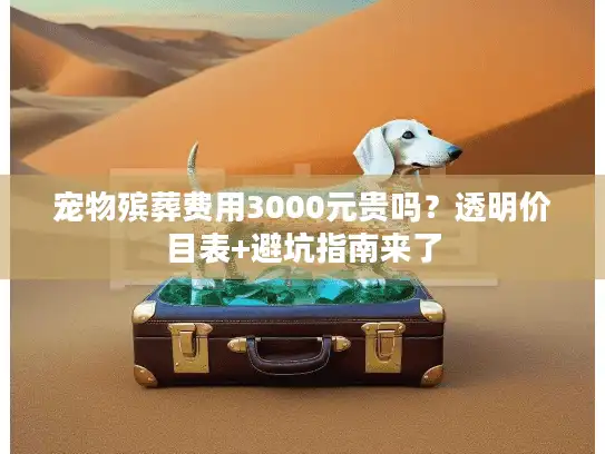 宠物殡葬费用3000元贵吗？透明价目表+避坑指南来了