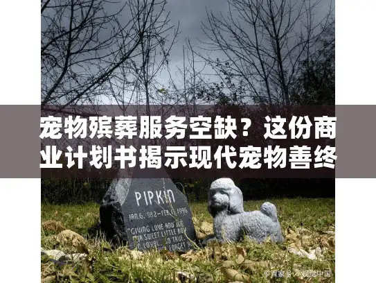 宠物殡葬服务空缺？这份商业计划书揭示现代宠物善终需求
