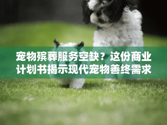 宠物殡葬服务空缺？这份商业计划书揭示现代宠物善终需求