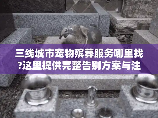 三线城市宠物殡葬服务哪里找?这里提供完整告别方案与注意事项