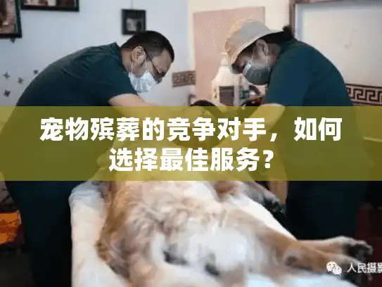 宠物殡葬的竞争对手，如何选择最佳服务？