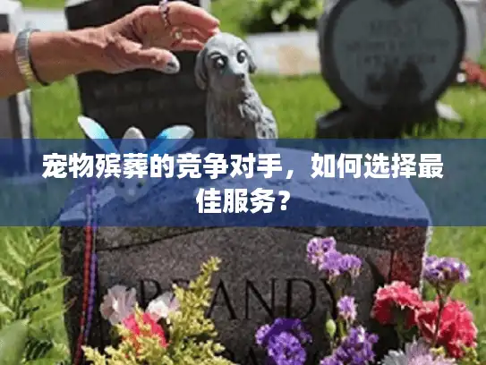 宠物殡葬的竞争对手，如何选择最佳服务？