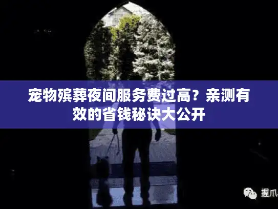 宠物殡葬夜间服务费过高？亲测有效的省钱秘诀大公开