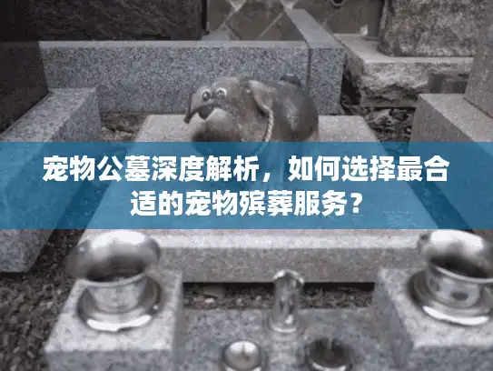 宠物公墓深度解析，如何选择最合适的宠物殡葬服务？