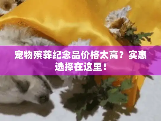 宠物殡葬纪念品价格太高？实惠选择在这里！