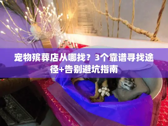 宠物殡葬店从哪找？3个靠谱寻找途径+告别避坑指南