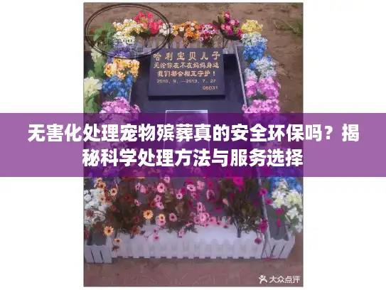无害化处理宠物殡葬真的安全环保吗？揭秘科学处理方法与服务选择