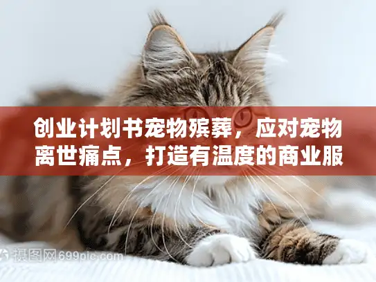 创业计划书宠物殡葬，应对宠物离世痛点，打造有温度的商业服务