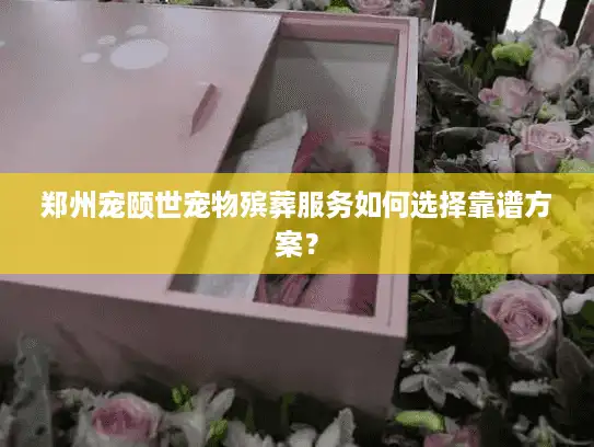 郑州宠颐世宠物殡葬服务如何选择靠谱方案？