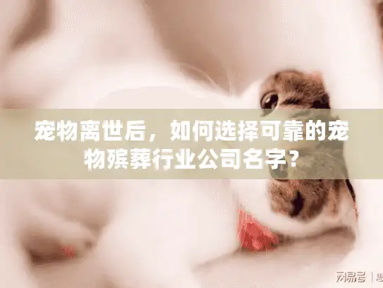 宠物离世后，如何选择可靠的宠物殡葬行业公司名字？