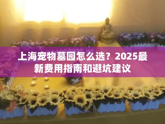 上海宠物墓园怎么选？2025最新费用指南和避坑建议