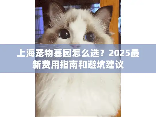 上海宠物墓园怎么选？2025最新费用指南和避坑建议