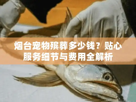 烟台宠物殡葬多少钱？贴心服务细节与费用全解析