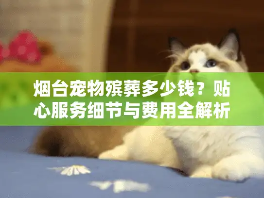 烟台宠物殡葬多少钱？贴心服务细节与费用全解析