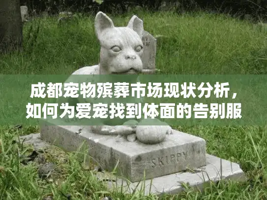 成都宠物殡葬市场现状分析，如何为爱宠找到体面的告别服务？