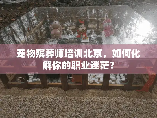宠物殡葬师培训北京，如何化解你的职业迷茫？