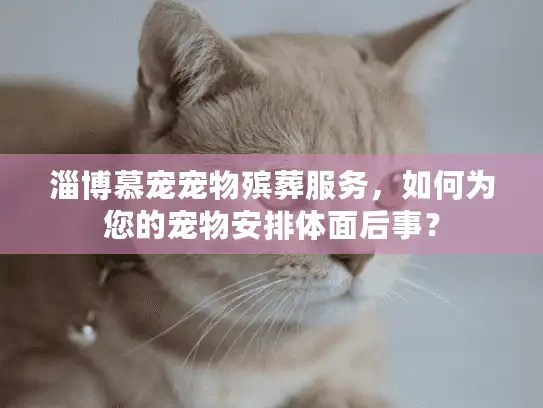 淄博慕宠宠物殡葬服务，如何为您的宠物安排体面后事？