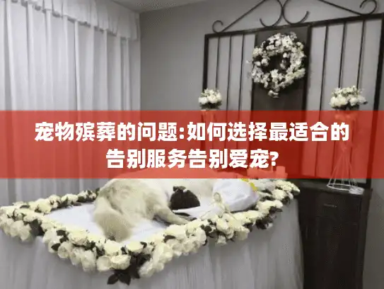 宠物殡葬的问题:如何选择最适合的告别服务告别爱宠?