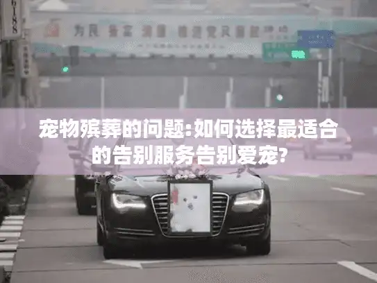 宠物殡葬的问题:如何选择最适合的告别服务告别爱宠?