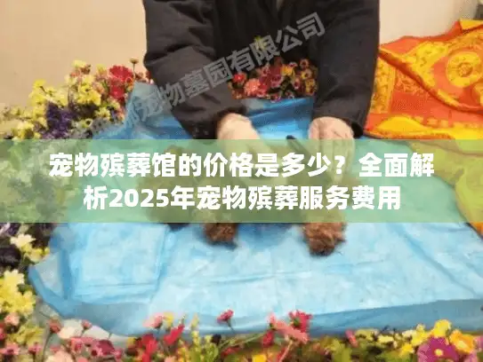 宠物殡葬馆的价格是多少？全面解析2025年宠物殡葬服务费用