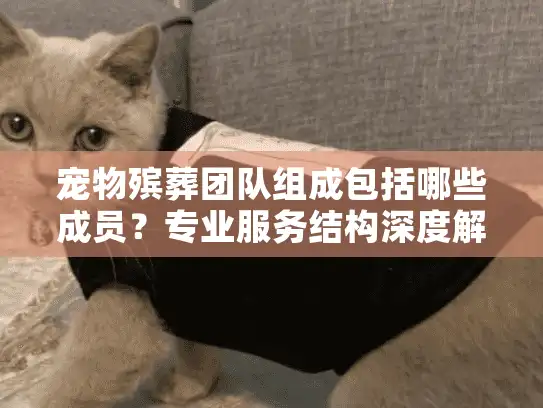 宠物殡葬团队组成包括哪些成员？专业服务结构深度解析