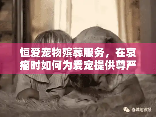 恒爱宠物殡葬服务，在哀痛时如何为爱宠提供尊严的告别