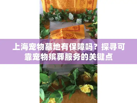 上海宠物墓地有保障吗？探寻可靠宠物殡葬服务的关键点