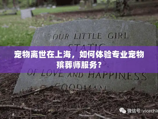 宠物离世在上海，如何体验专业宠物殡葬师服务？