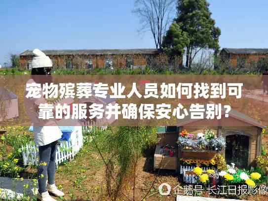宠物殡葬专业人员如何找到可靠的服务并确保安心告别？