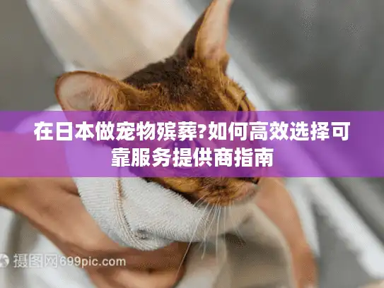 在日本做宠物殡葬?如何高效选择可靠服务提供商指南